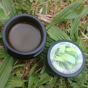 Plantain Salve